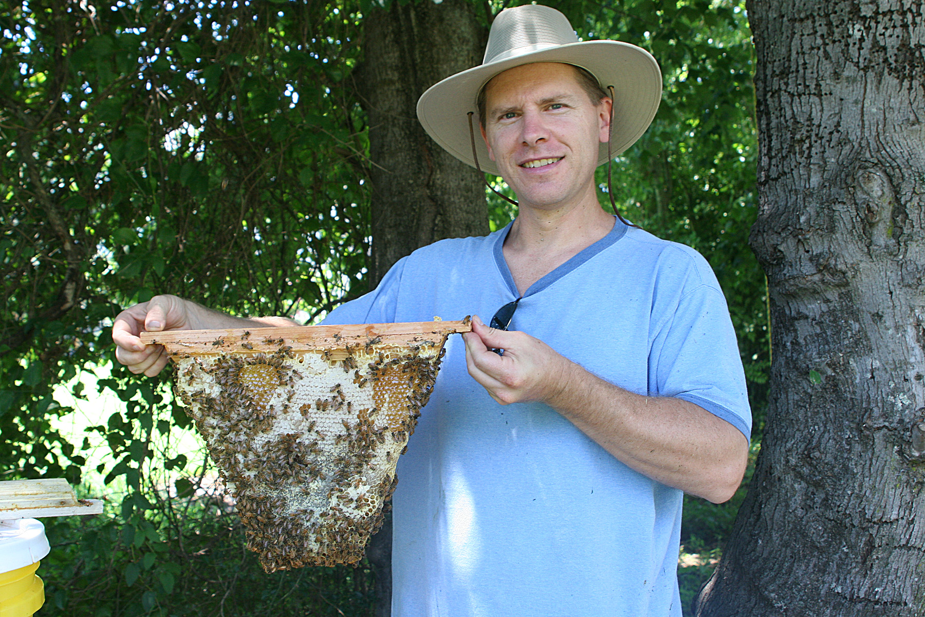 The Advantages of Small Cell Bees Keeping Backyard Bees